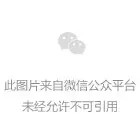 中国軍 21式 星空林地迷彩 IR 国旗 ワッペン 新品未使用 通販